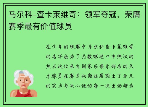 马尔科-查卡莱维奇：领军夺冠，荣膺赛季最有价值球员